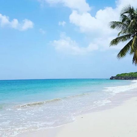 - Les Pieds Dans L'Eau A 50M De La Plage, Cote Mer Caraibe - Domaine De L'Anse Caritan - Sainte-Anne - Exterior foto