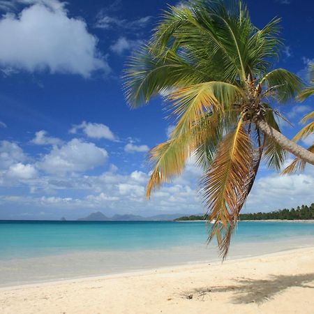 - Les Pieds Dans L'Eau A 50M De La Plage, Cote Mer Caraibe - Domaine De L'Anse Caritan - Sainte-Anne - Exterior foto
